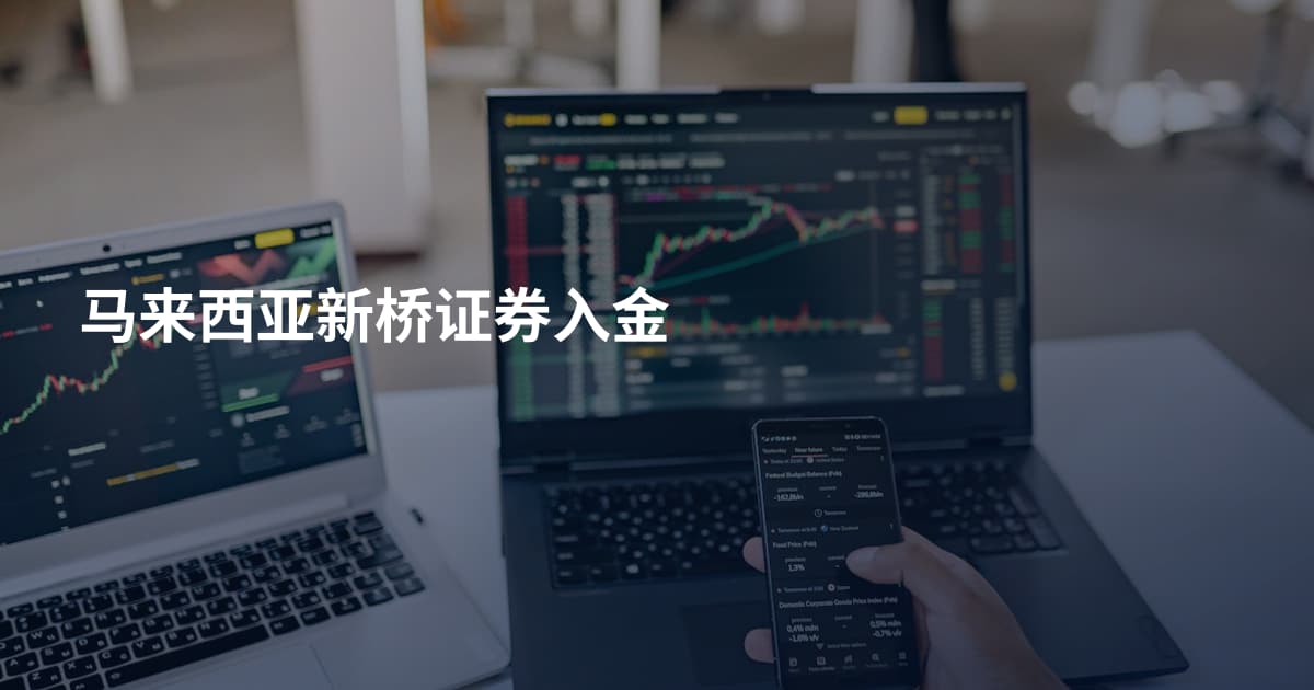 马来西亚新桥证券入金