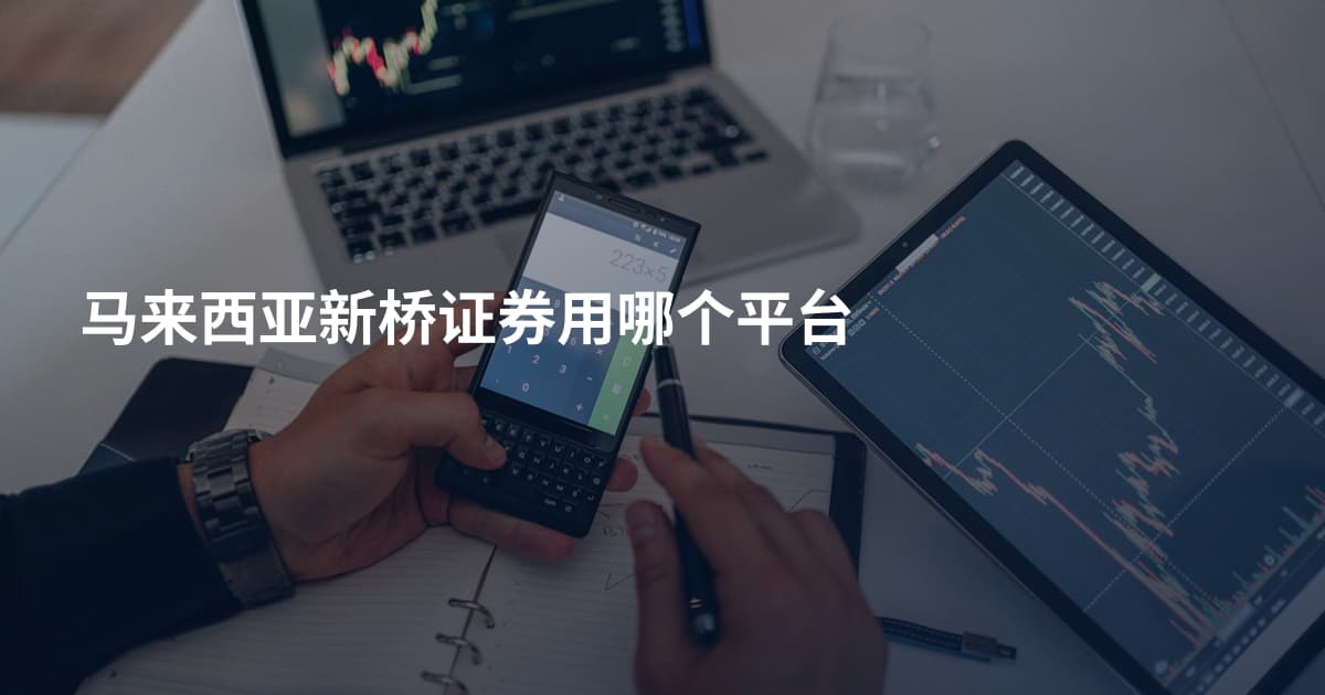马来西亚新桥证券用哪个平台