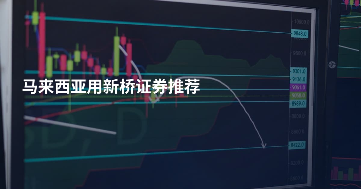 马来西亚用新桥证券推荐