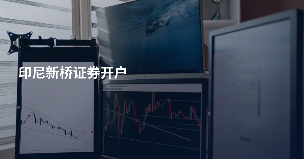 印尼新桥证券开户