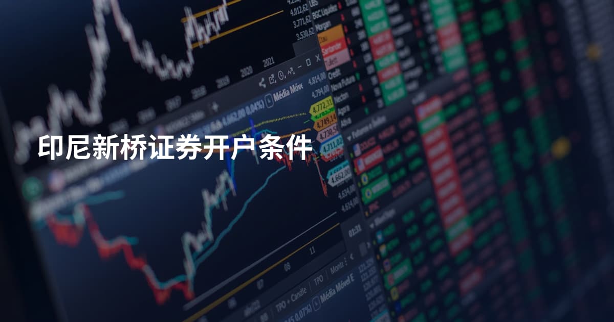 印尼新桥证券开户条件