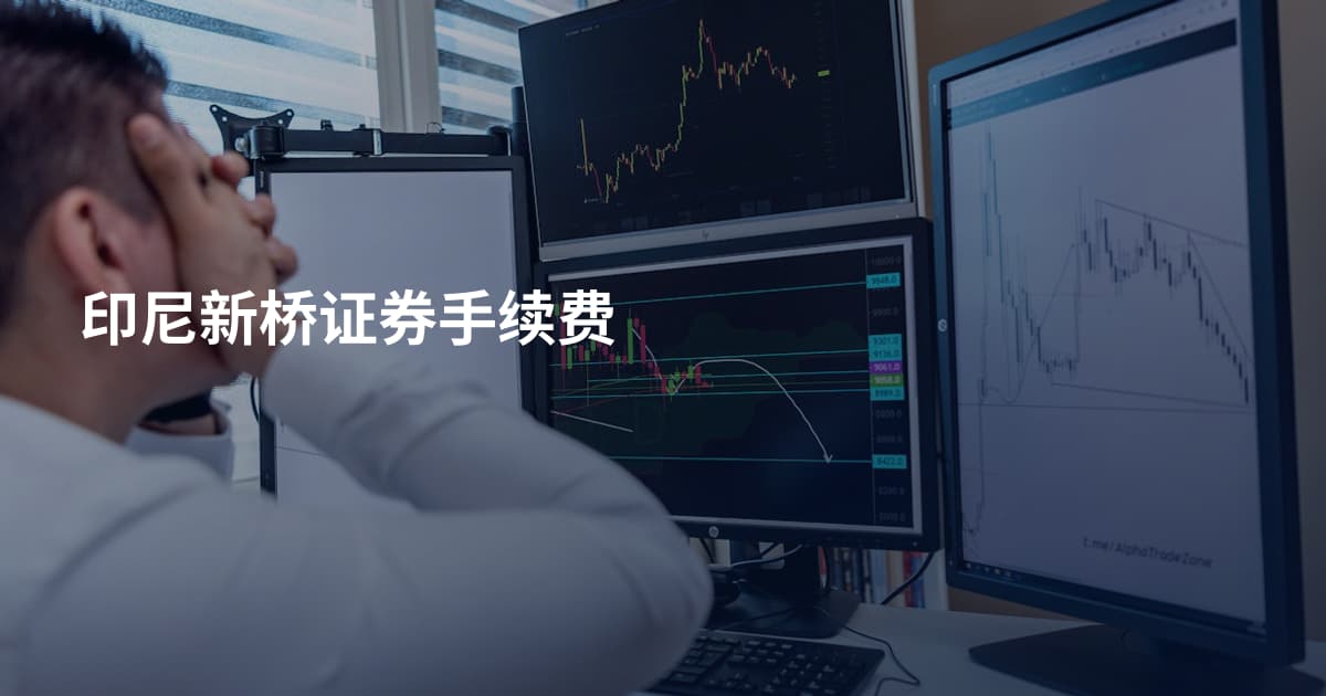 印尼新桥证券手续费