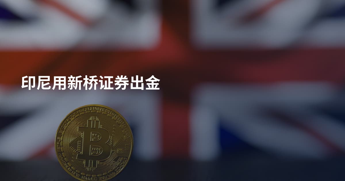 印尼用新桥证券出金
