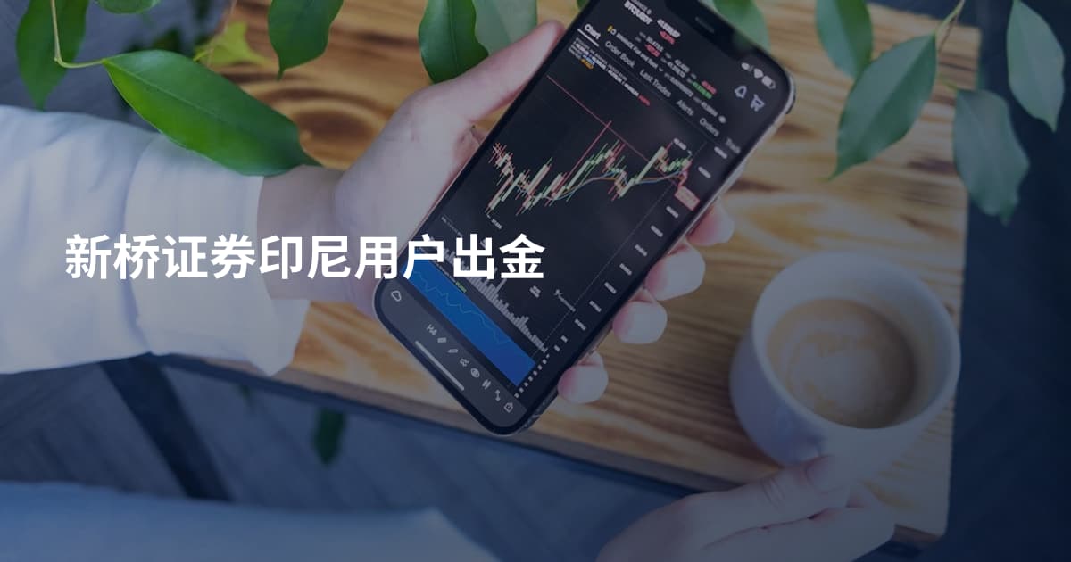 新桥证券印尼用户出金