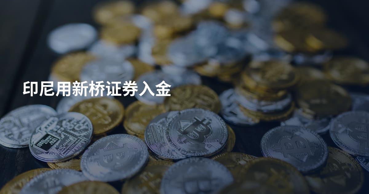 印尼用新桥证券入金