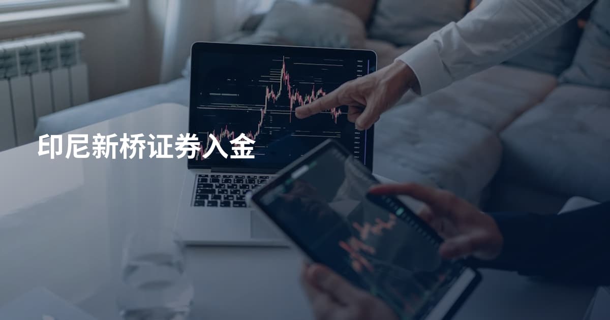印尼新桥证券入金