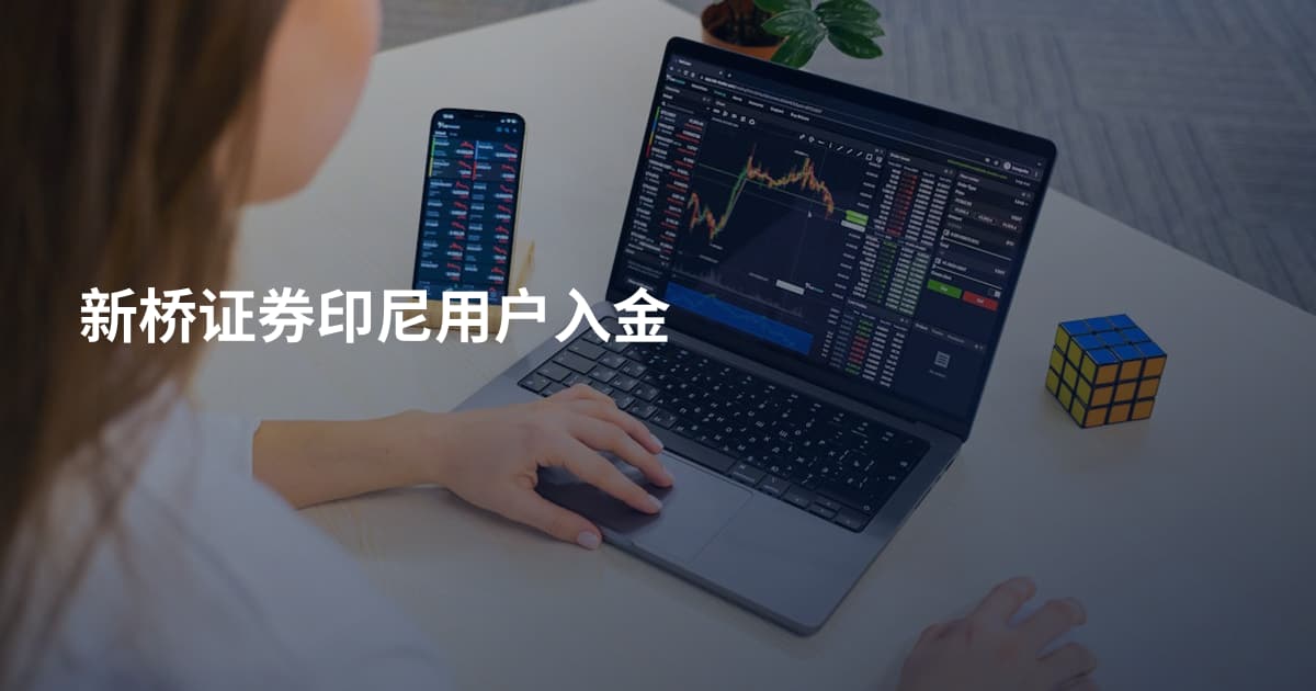 新桥证券印尼用户入金
