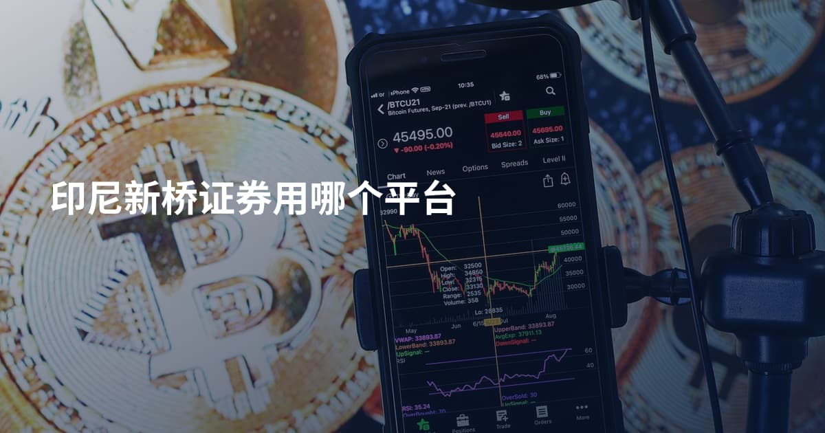 印尼新桥证券用哪个平台