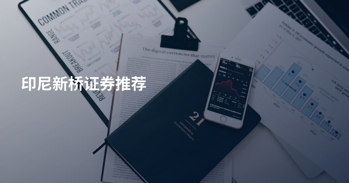 印尼新桥证券推荐