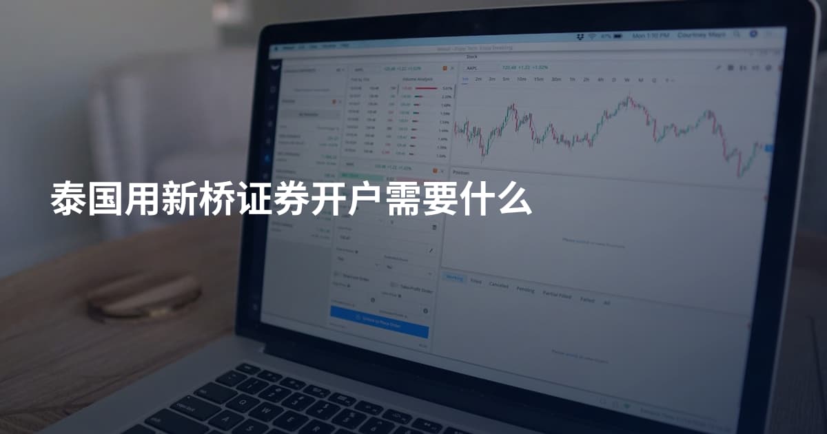 泰国用新桥证券开户需要什么