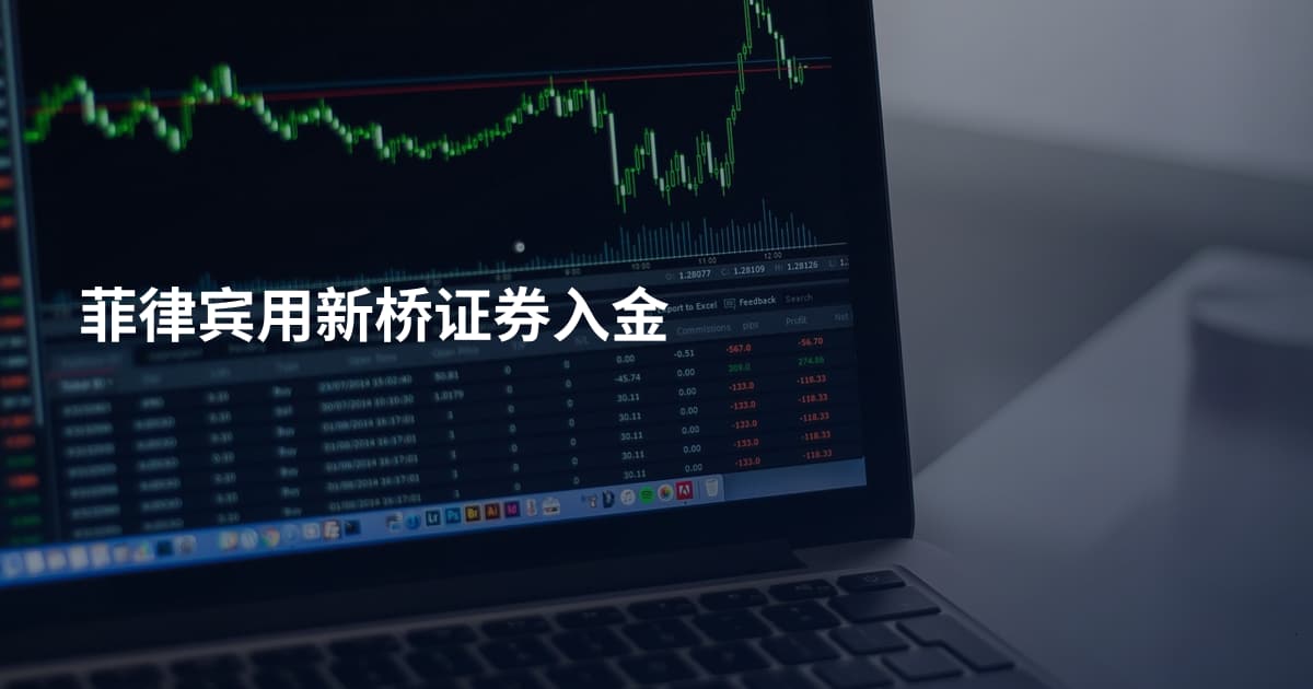 菲律宾用新桥证券入金