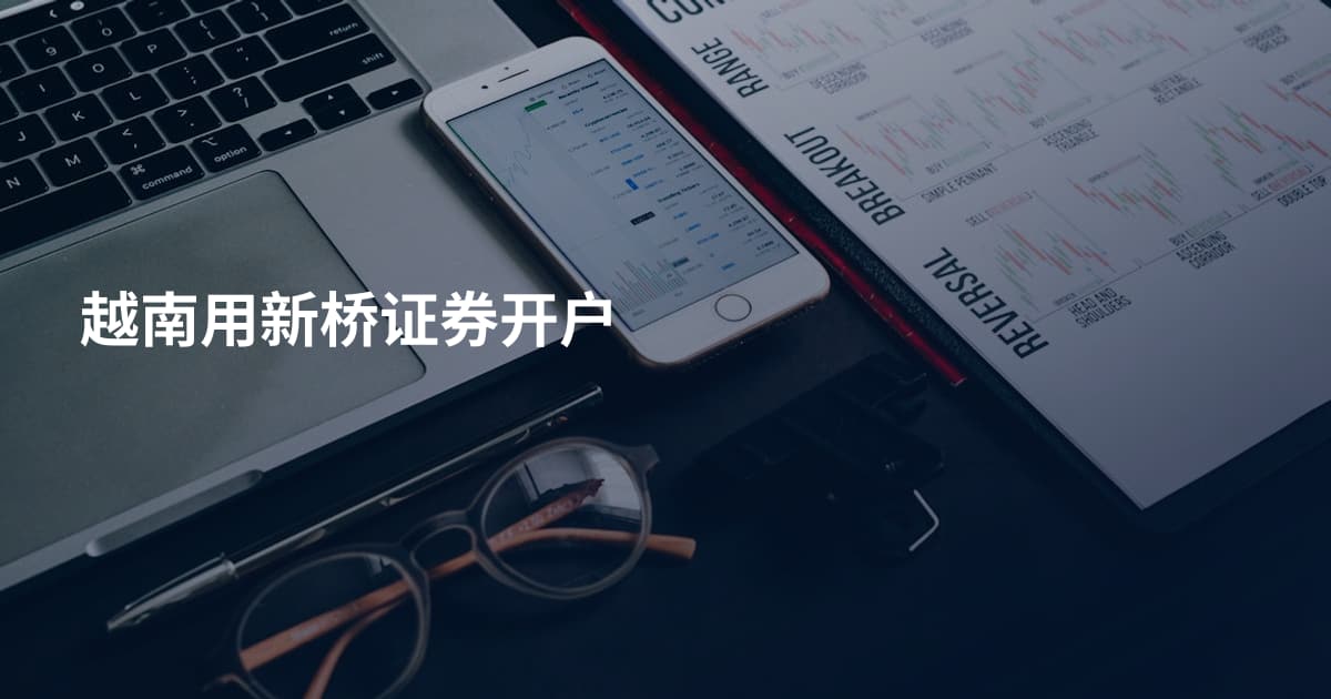 越南用新桥证券开户