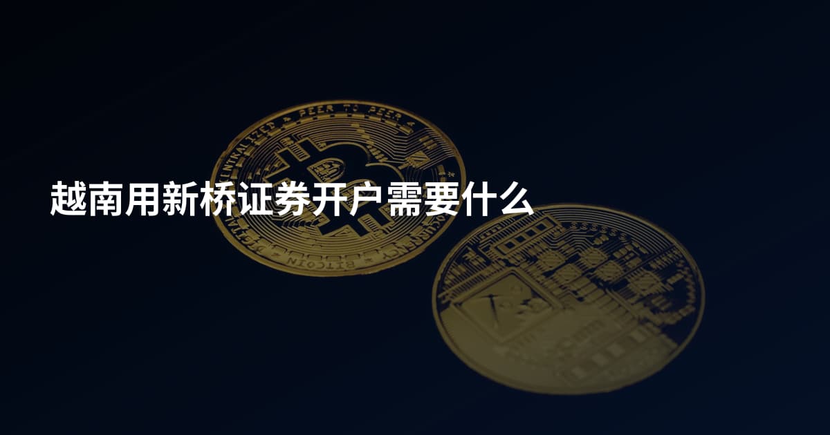 越南用新桥证券开户需要什么