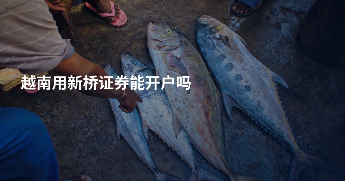 越南用新桥证券能开户吗