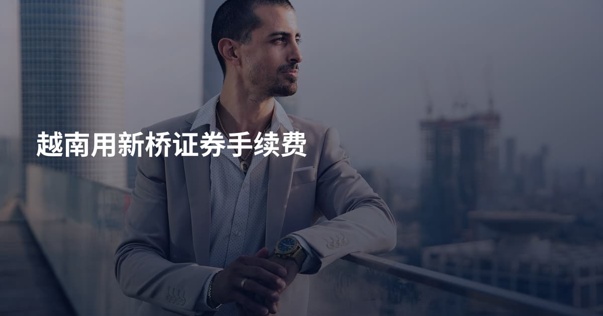 越南用新桥证券手续费