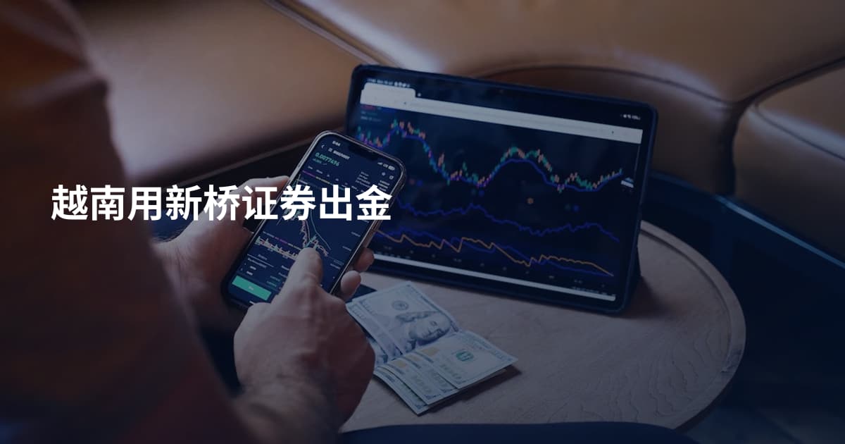 越南用新桥证券出金