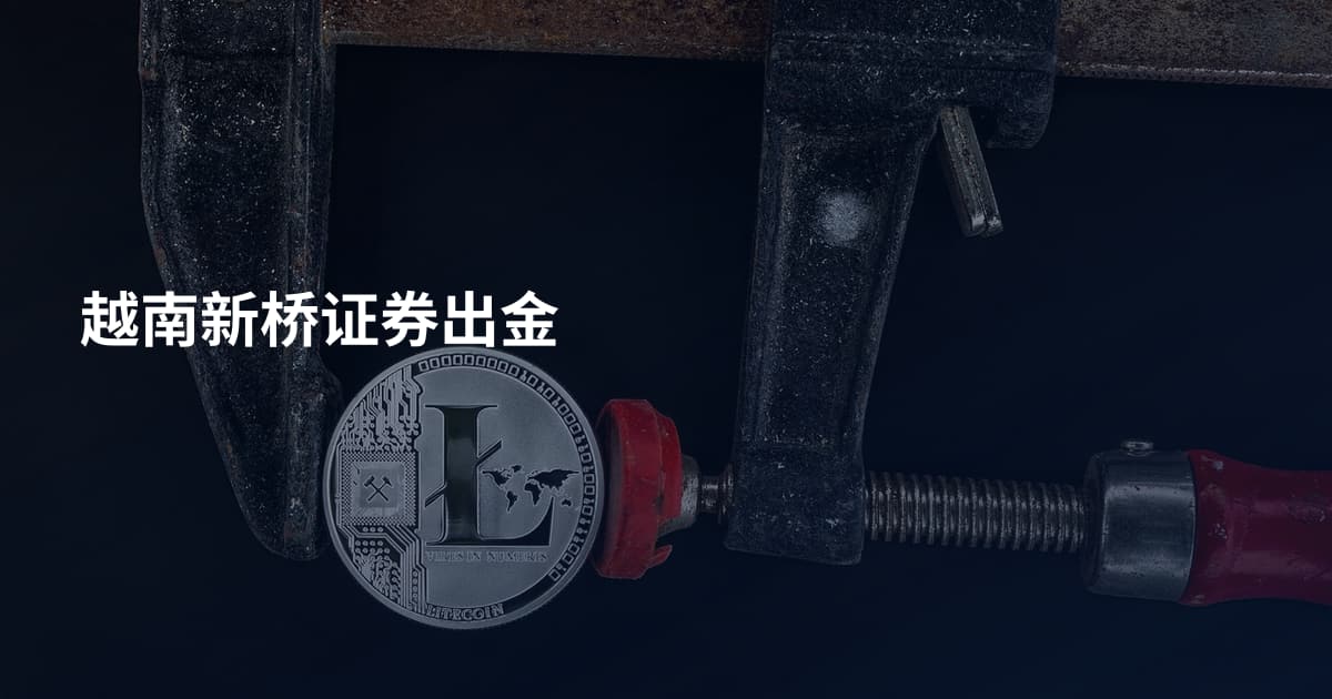 越南新桥证券出金