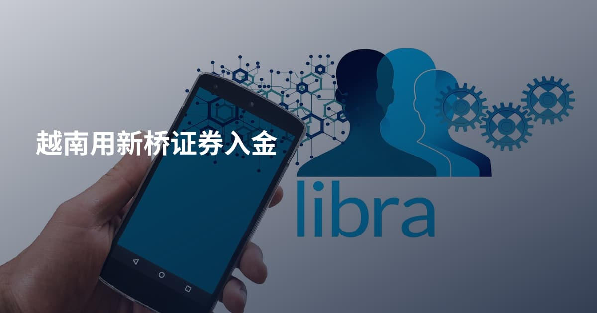 越南用新桥证券入金