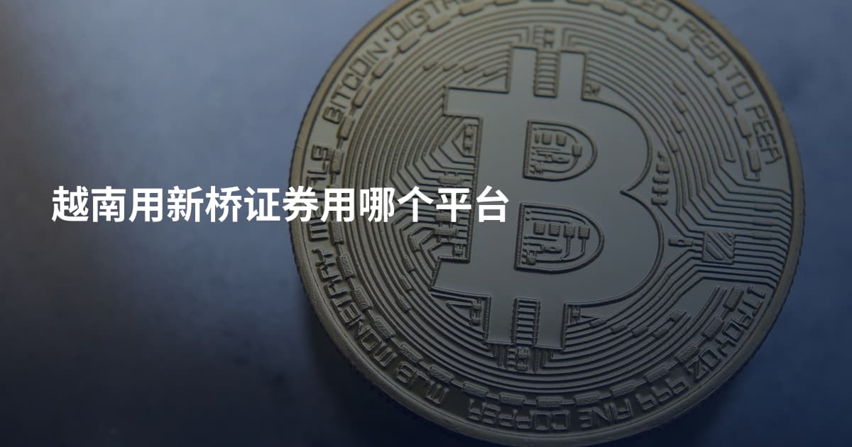 越南用新桥证券用哪个平台