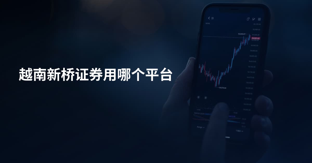 越南新桥证券用哪个平台
