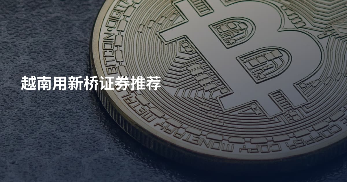 越南用新桥证券推荐