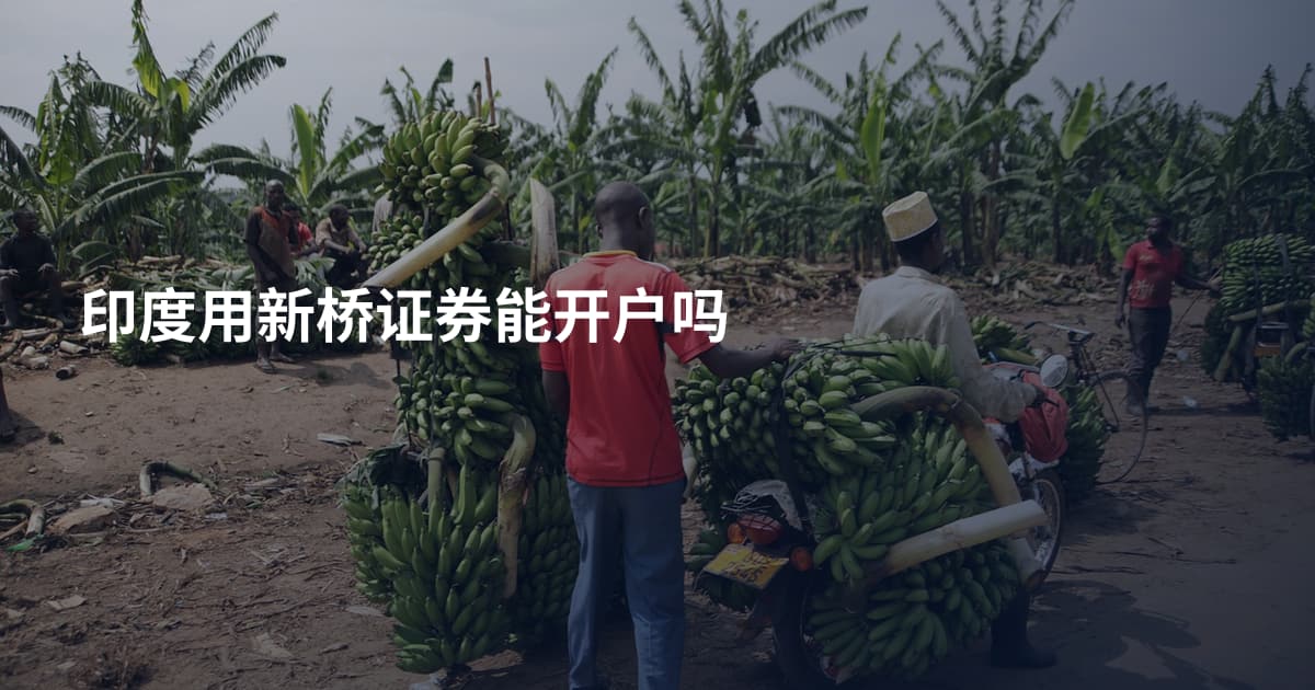 印度用新桥证券能开户吗