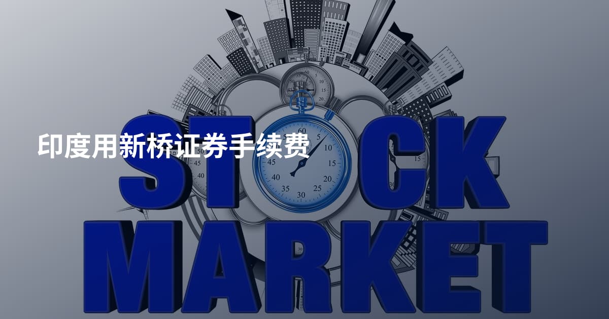 印度用新桥证券手续费