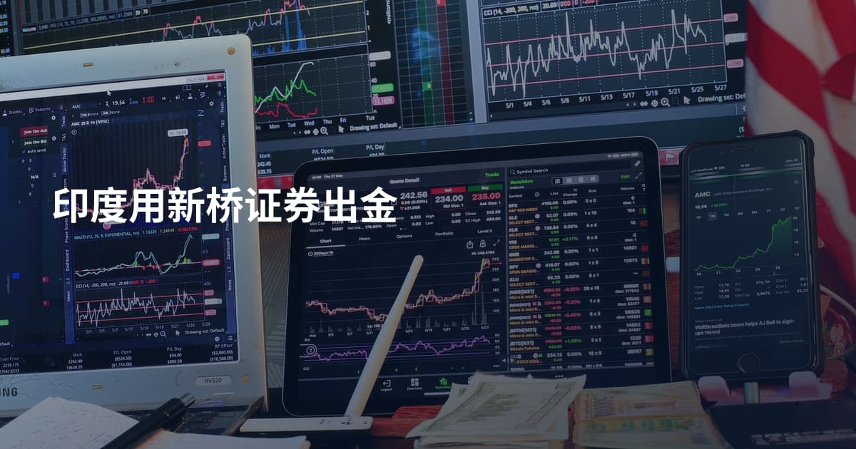 印度用新桥证券出金