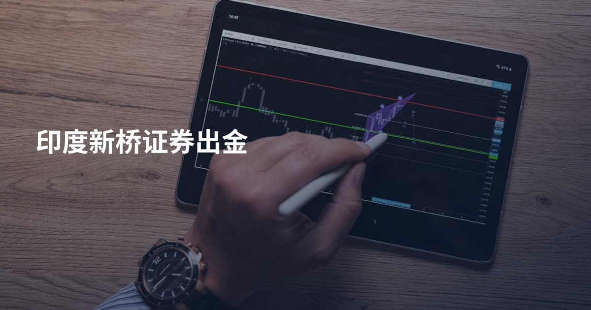 印度新桥证券出金