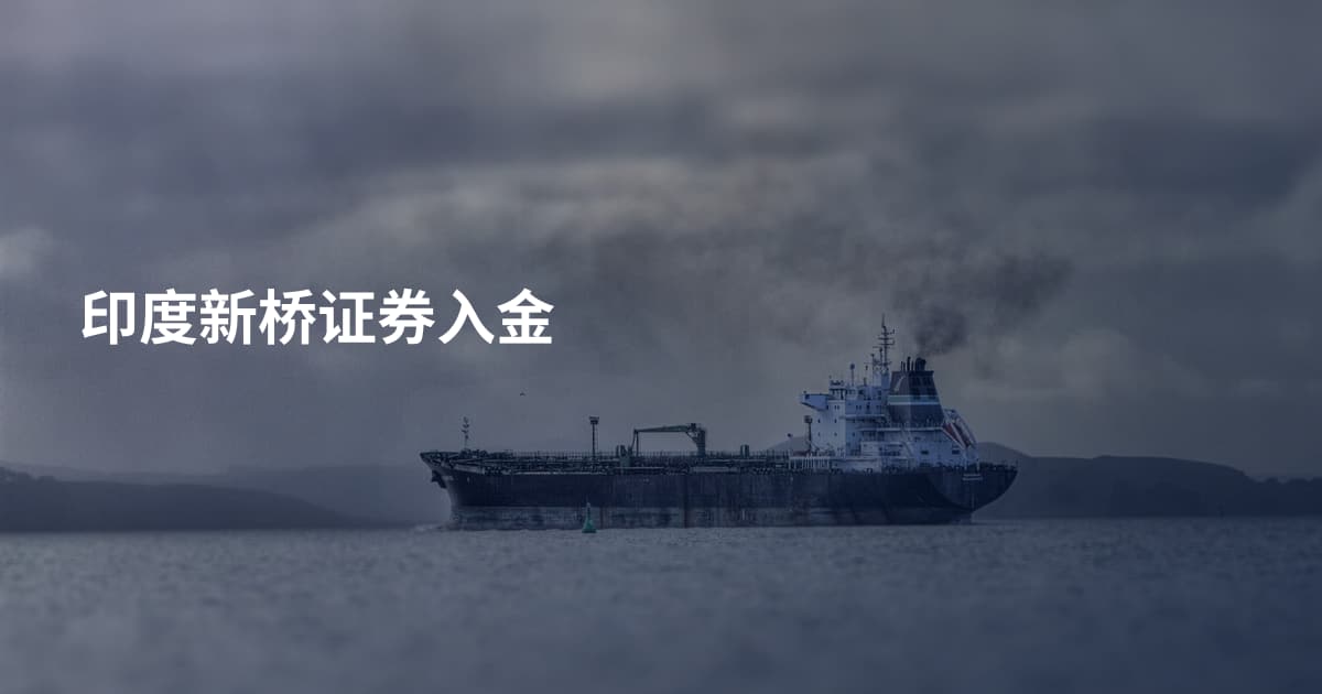 印度新桥证券入金