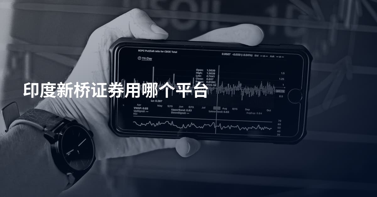 印度新桥证券用哪个平台