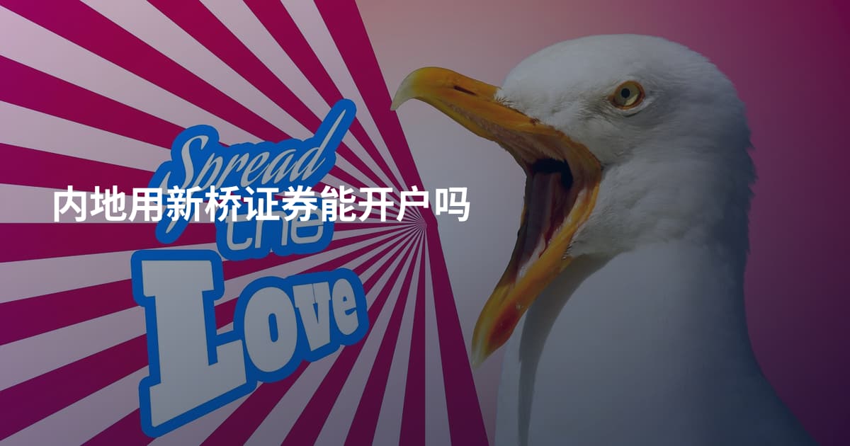 内地用新桥证券能开户吗