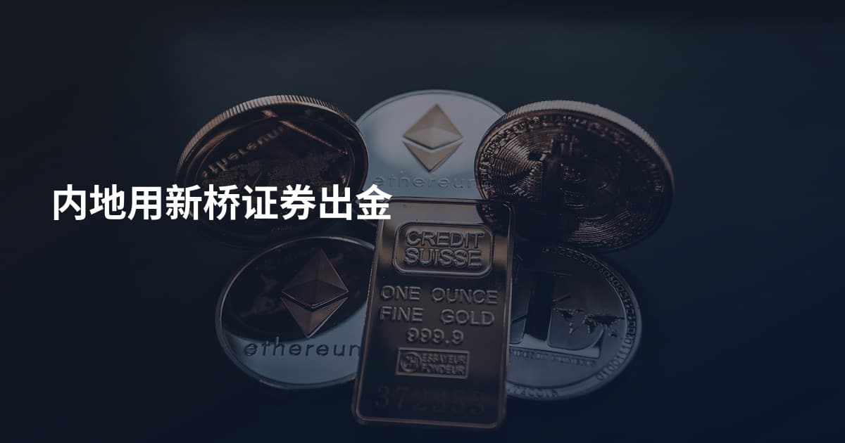 内地用新桥证券出金
