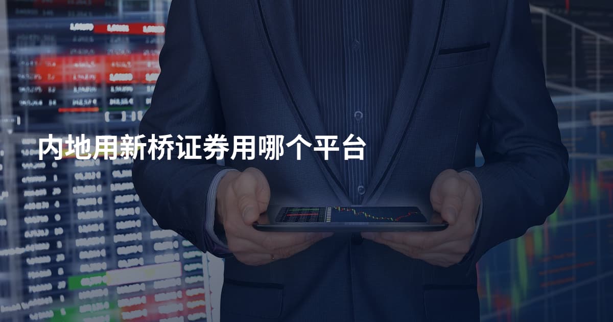 内地用新桥证券用哪个平台
