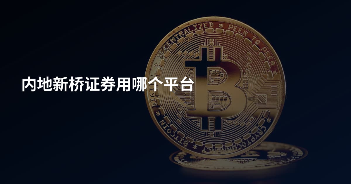 内地新桥证券用哪个平台