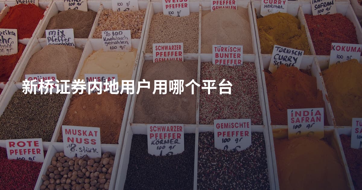新桥证券内地用户用哪个平台