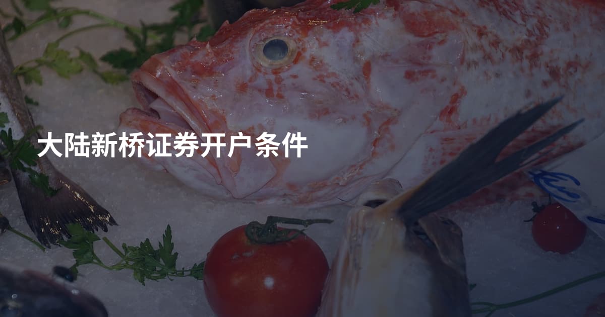 大陆新桥证券开户条件