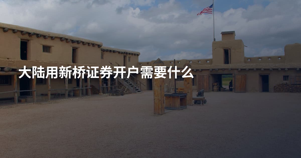 大陆用新桥证券开户需要什么