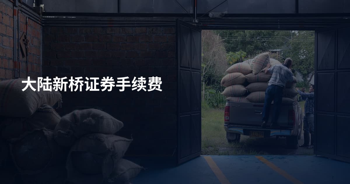 大陆新桥证券手续费