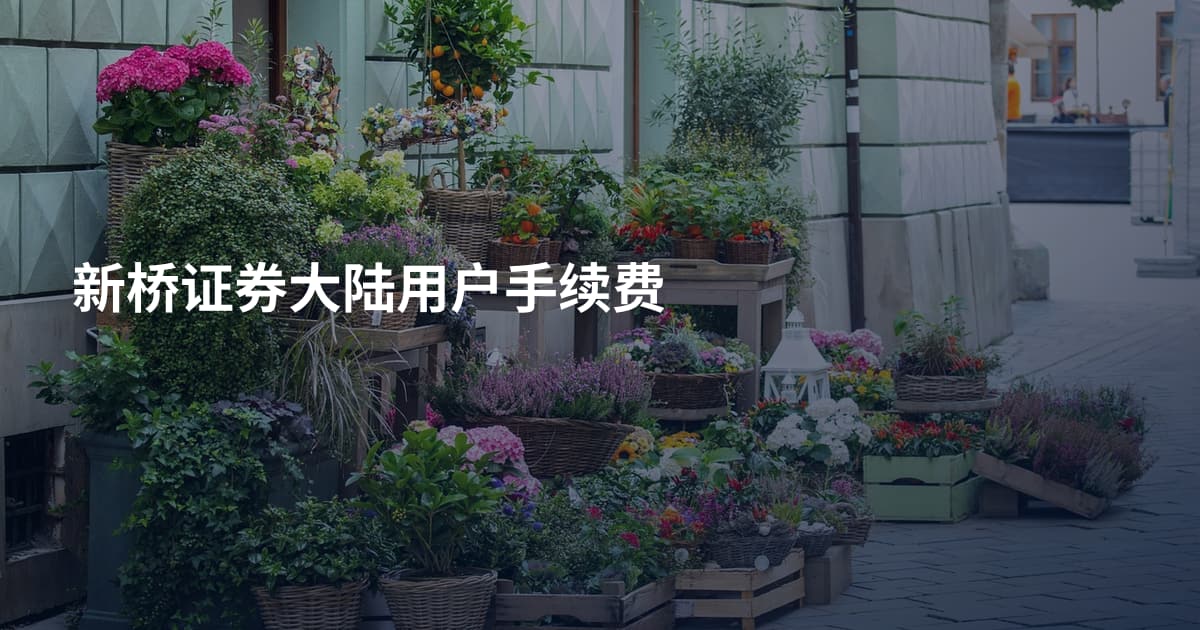 新桥证券大陆用户手续费