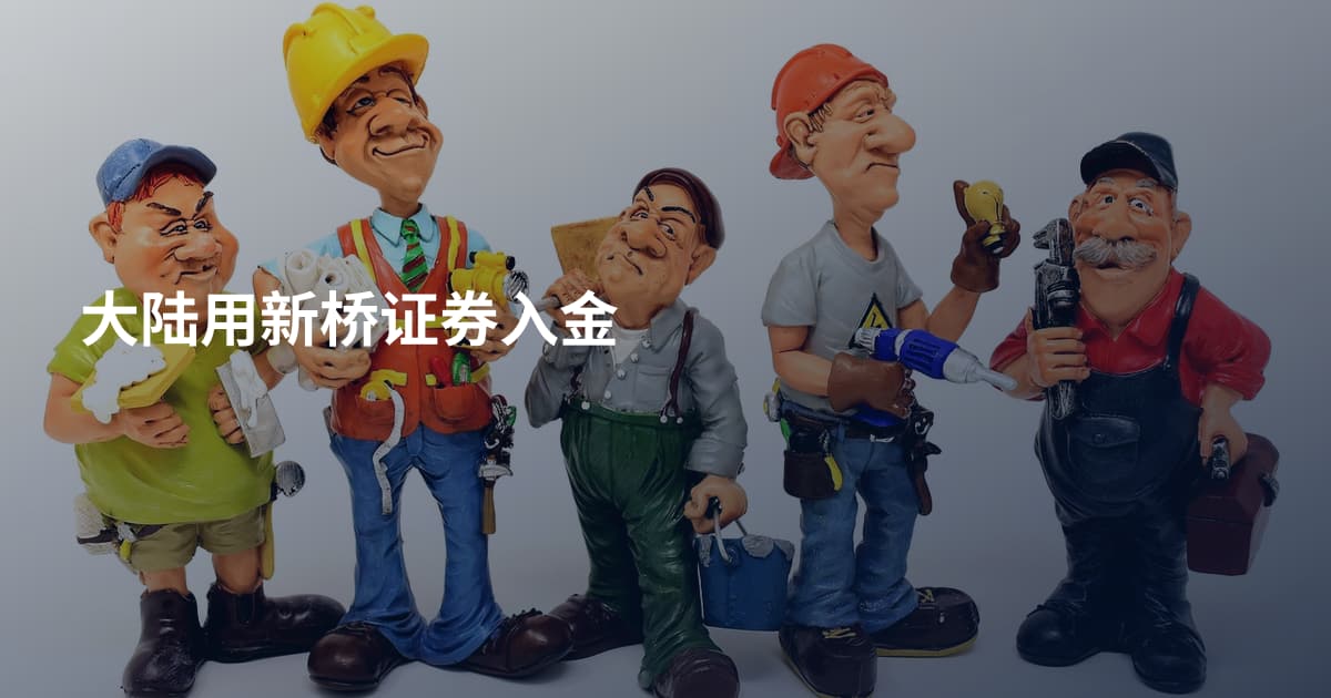 大陆用新桥证券入金