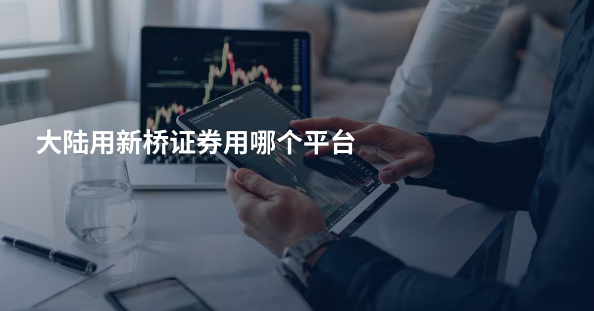 大陆用新桥证券用哪个平台
