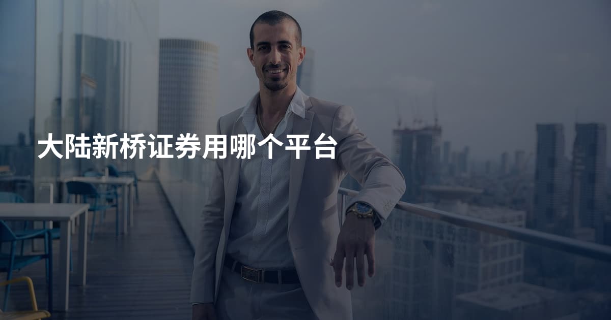 大陆新桥证券用哪个平台