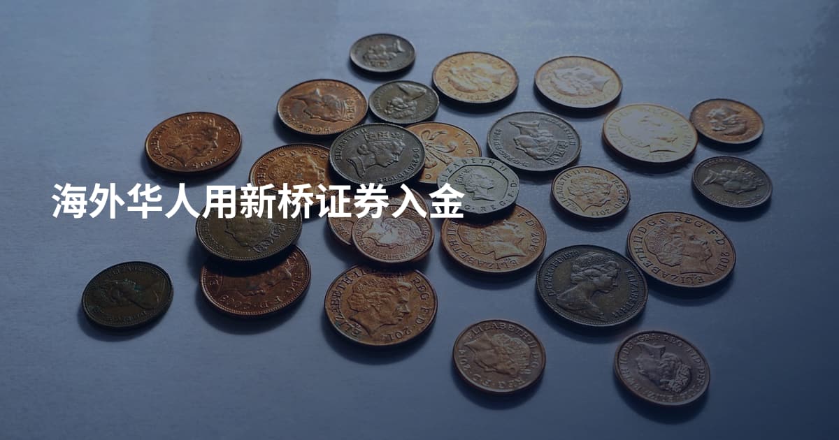 海外华人用新桥证券入金