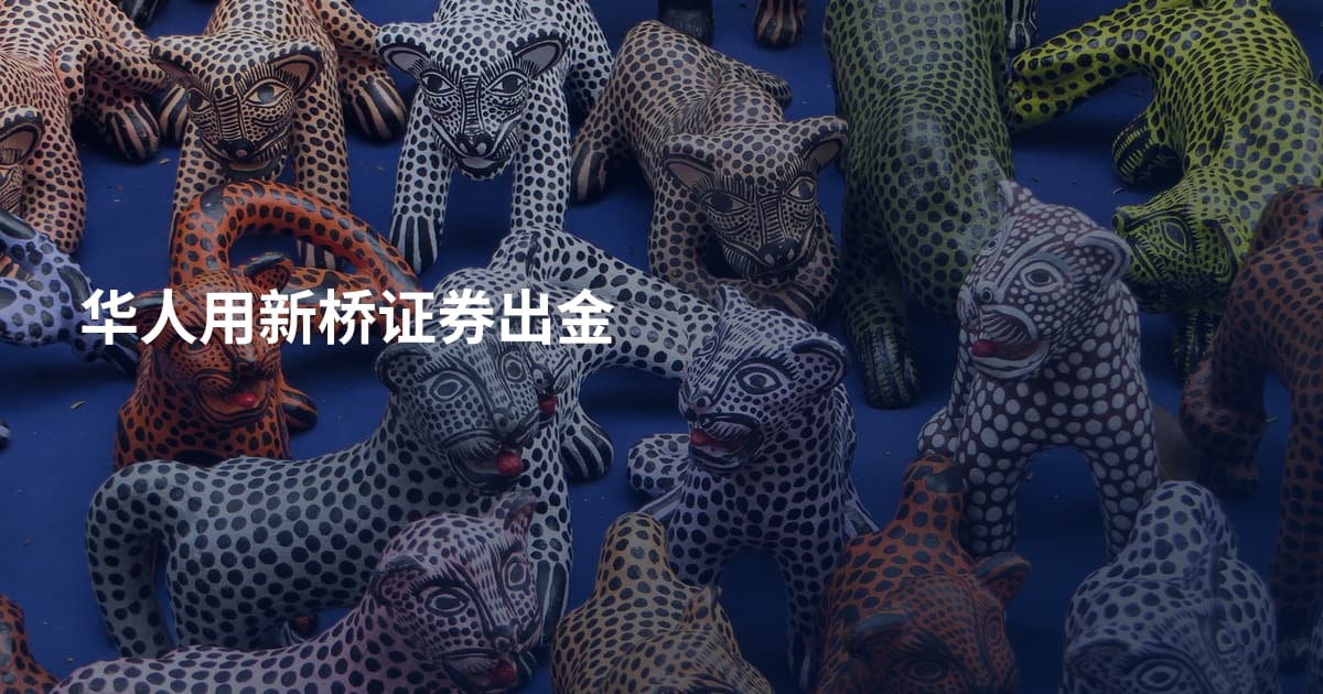 华人用新桥证券出金