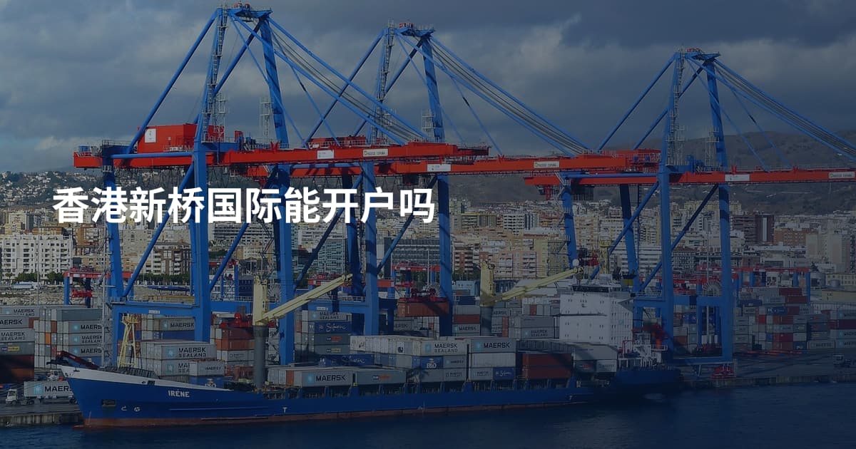 香港新桥国际能开户吗