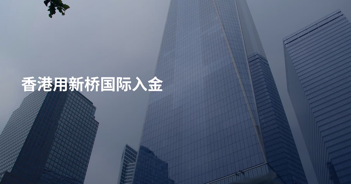 香港用新桥国际入金