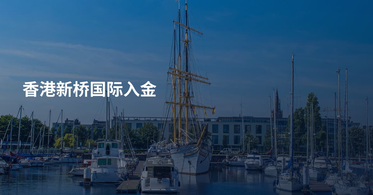 香港新桥国际入金
