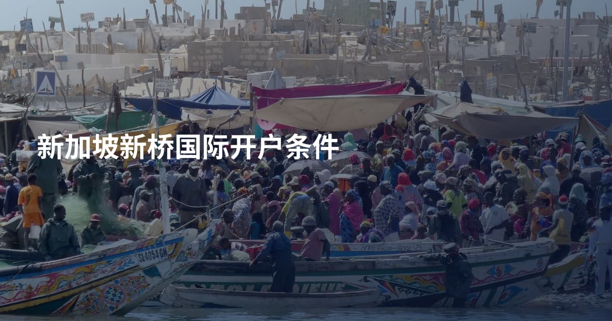 新加坡新桥国际开户条件