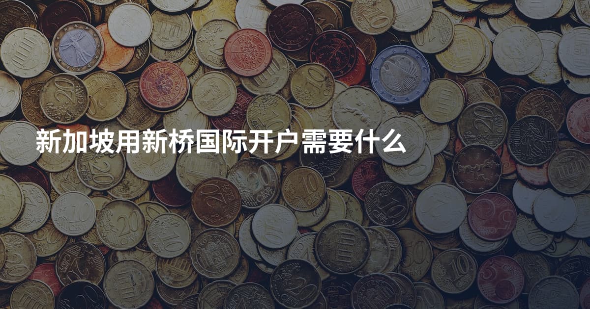 新加坡用新桥国际开户需要什么